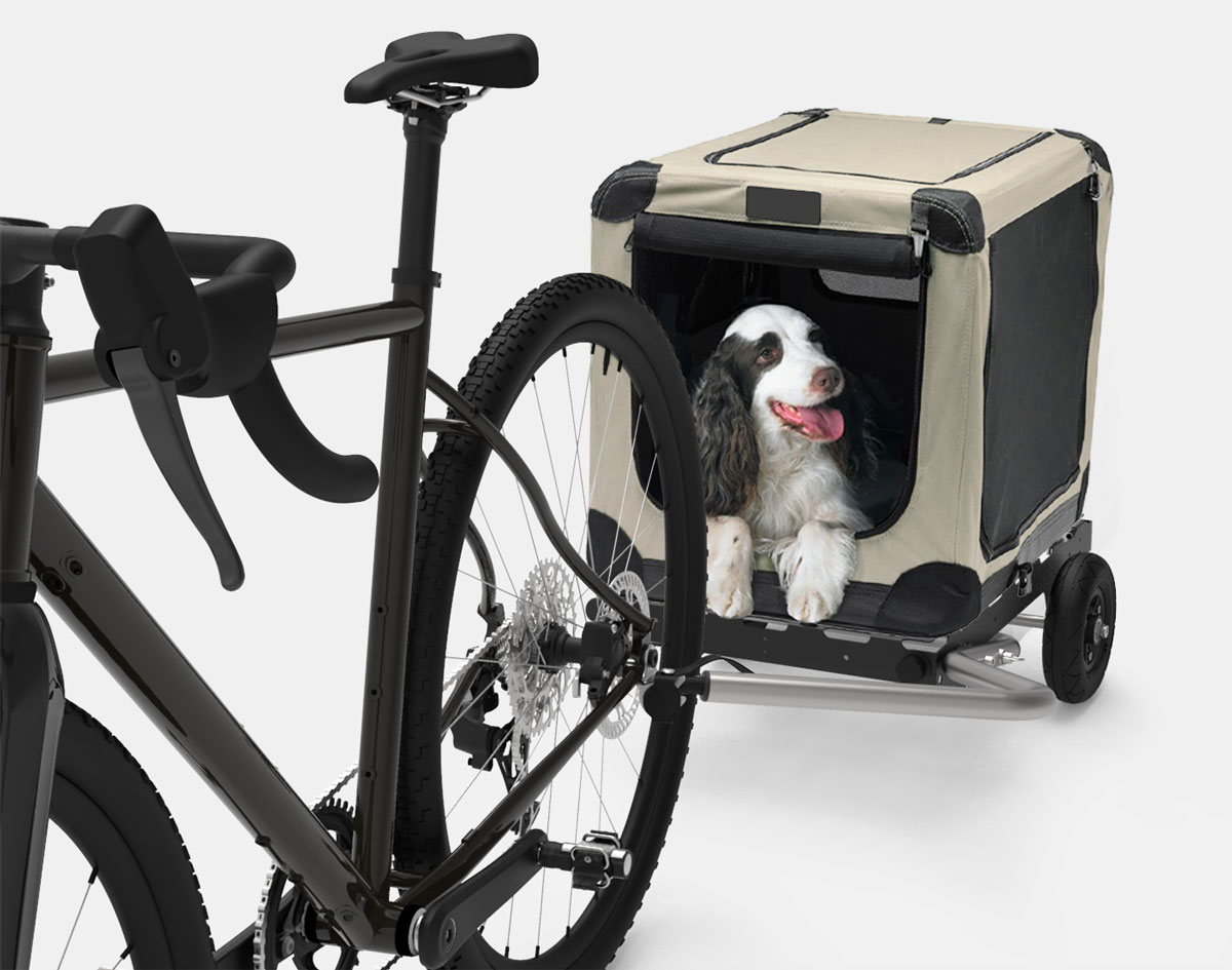 Une remorque vélo qui transporte le chien